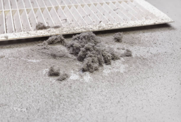 Best Duct Cleaning for Homes  in Kenai, AK