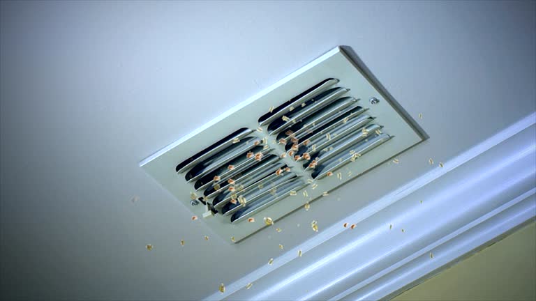 Best Affordable HVAC Duct Cleaning  in Kenai, AK