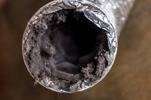 Best HVAC System Cleaning  in Kenai, AK
