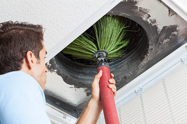 Best Affordable Duct Cleaning Services  in Kenai, AK